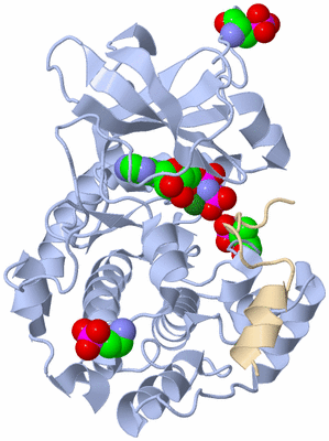 Image Asym./Biol. Unit