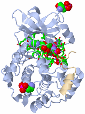 Image Asym./Biol. Unit - sites