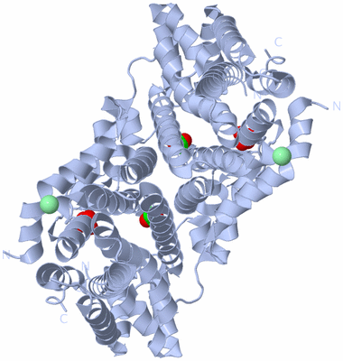 Image Biological Unit 1