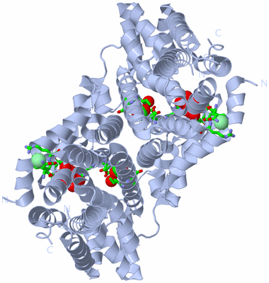 Image Biol. Unit 1 - sites