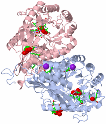 Image Biol. Unit 1 - sites