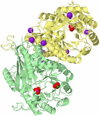 Image Biological Unit 2