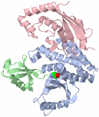 Image Biological Unit 1