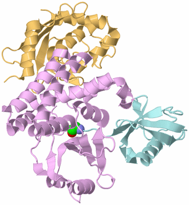 Image Biological Unit 2