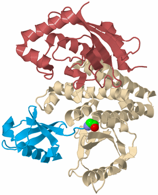 Image Biological Unit 4