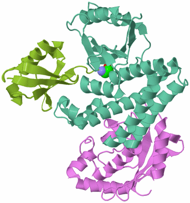 Image Biological Unit 5