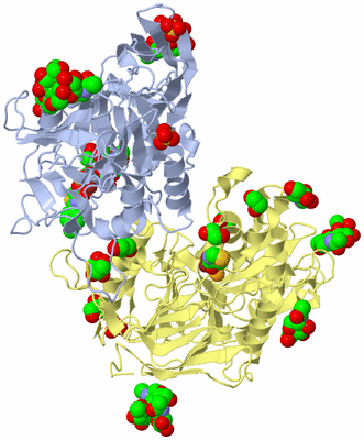 Image Biological Unit 1