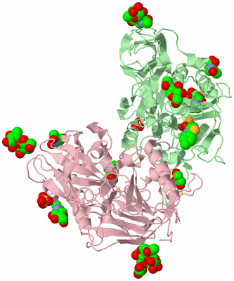 Image Biological Unit 2