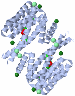 Image Biological Unit 1