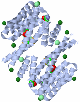 Image Biological Unit 1