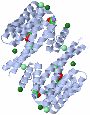 Image Biological Unit 1