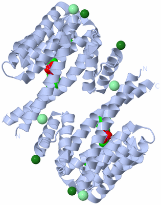 Image Biological Unit 1