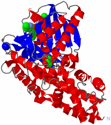 Image Asym./Biol. Unit