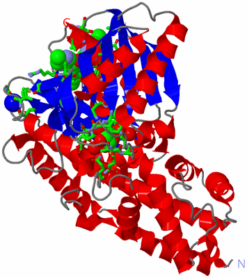 Image Asym./Biol. Unit - sites