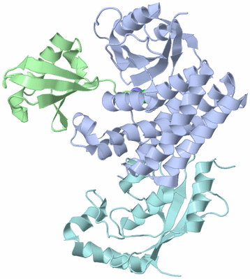 Image Biological Unit 1