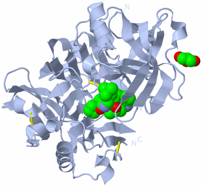 Image Biological Unit 1