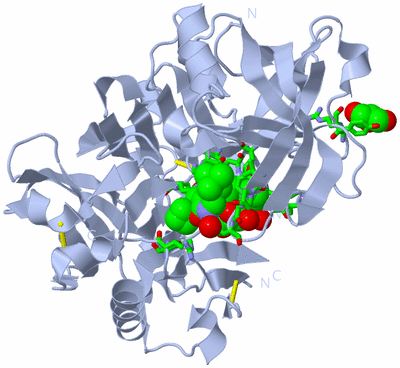 Image Biol. Unit 1 - sites