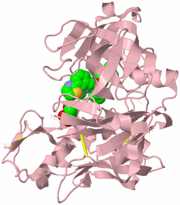 Image Biological Unit 3