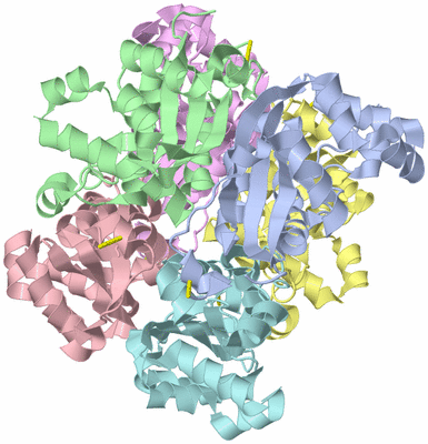 Image Asym./Biol. Unit