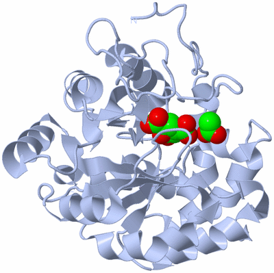 Image Biological Unit 1