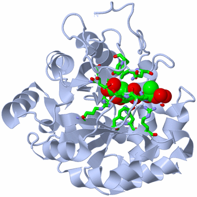 Image Biol. Unit 1 - sites