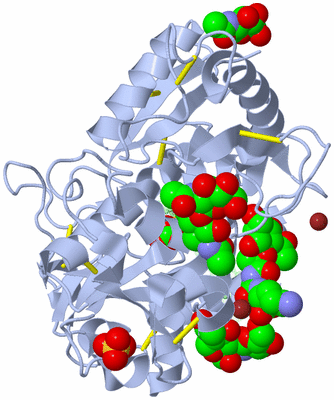 Image Asym./Biol. Unit