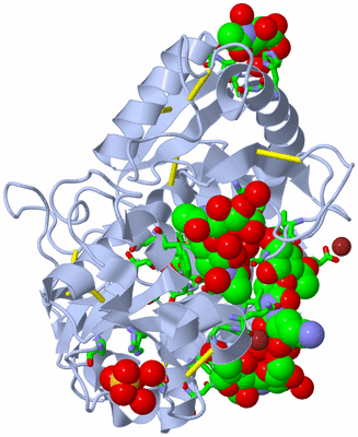 Image Asym./Biol. Unit - sites