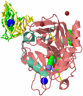 Image Asym./Biol. Unit