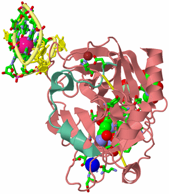 Image Asym./Biol. Unit - sites