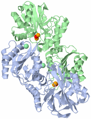 Image Asym./Biol. Unit