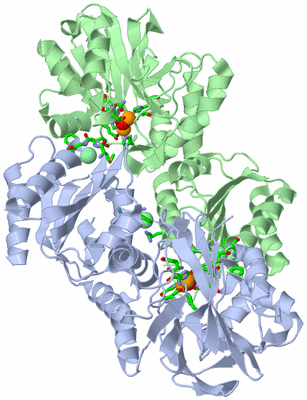 Image Asym./Biol. Unit - sites