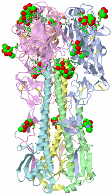 Image Asym./Biol. Unit - sites