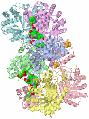 Image Asym./Biol. Unit