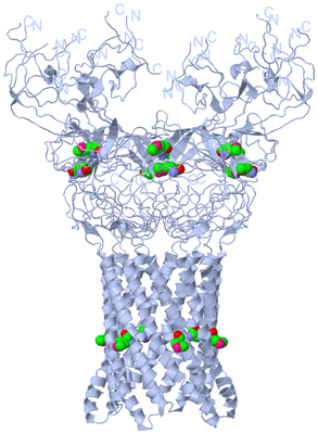 Image Biological Unit 2