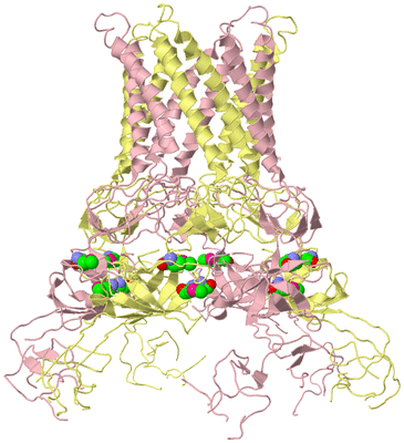 Image Biological Unit 2