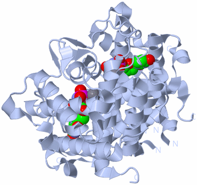 Image Biological Unit 1