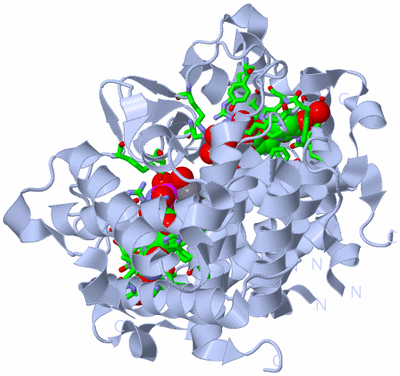 Image Biol. Unit 1 - sites