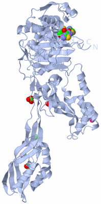 Image Biological Unit 1