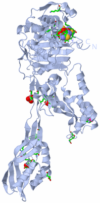 Image Biol. Unit 1 - sites