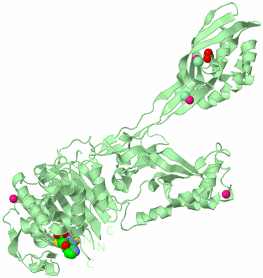 Image Biological Unit 2