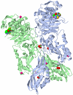 Image Biological Unit 3