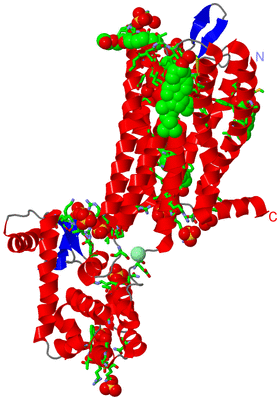 Image Asym. Unit - sites