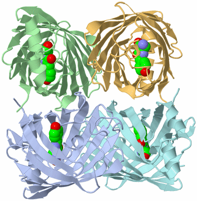 Image Biological Unit 1