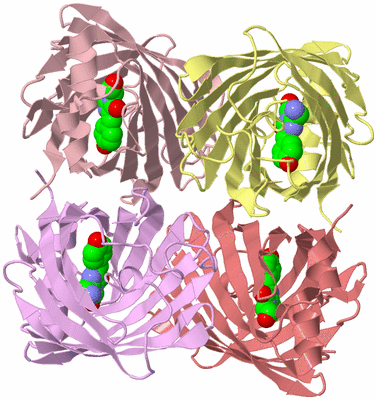 Image Biological Unit 2