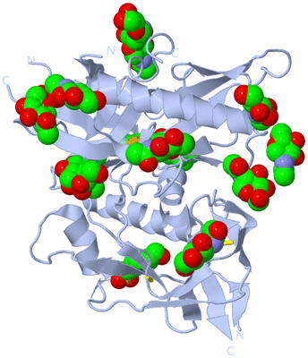 Image Biological Unit 1