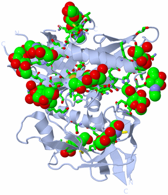 Image Biol. Unit 1 - sites