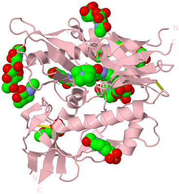 Image Biological Unit 2