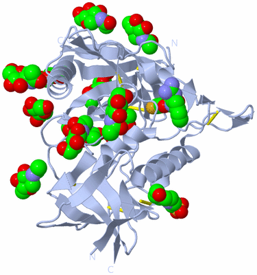 Image Biological Unit 1