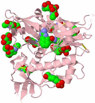 Image Biological Unit 2