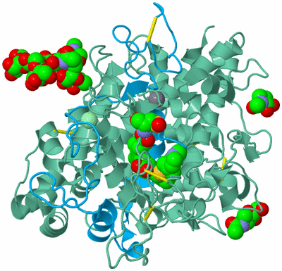 Image Biological Unit 10